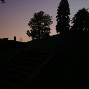 ForestRoseCemeteryApparition0001.jpg