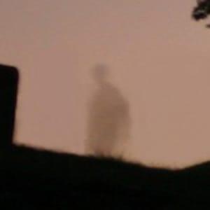 ForestRoseCemeteryApparition0002.jpg