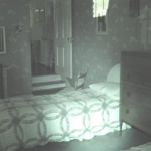 MalabarFarmNight0023.jpg