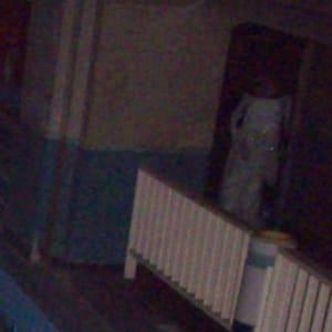 IMG_0827.jpeg