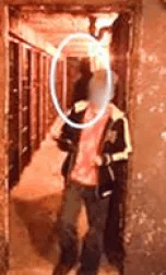 Shank-with-shadow-figure-1-e1539954276928.png