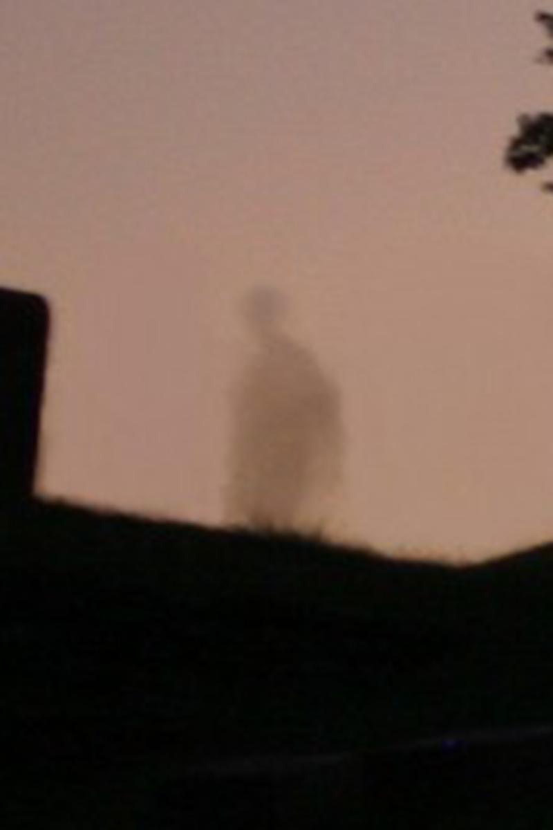 ForestRoseCemeteryApparition0002.jpg