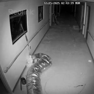 121525-REOLINKCAMQ15.mp4