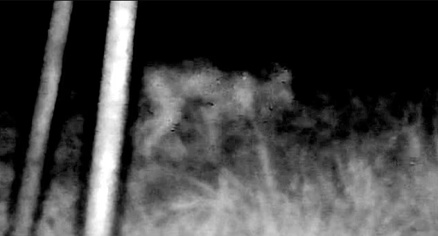 New UFO Files confirm the existence of Skinwalkers